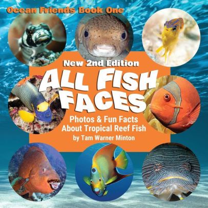all fish faces