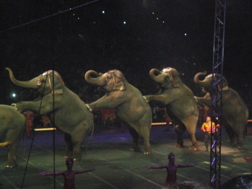 Ringling Bros and Barnum & Bailey Circus – Fully Charged